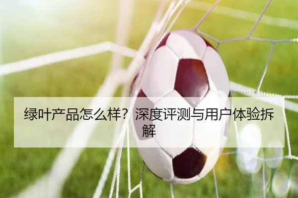 绿叶产品怎么样?深度评测与用户体验拆解